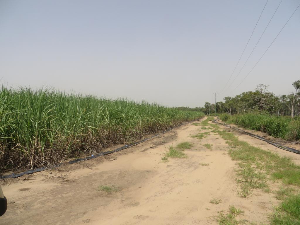 109 Schrank Rd, Airdmillan, QLD 4807