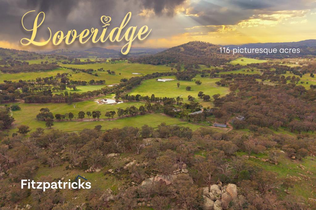 6361 Holbrook Rd, Gelston Park, NSW 2650
