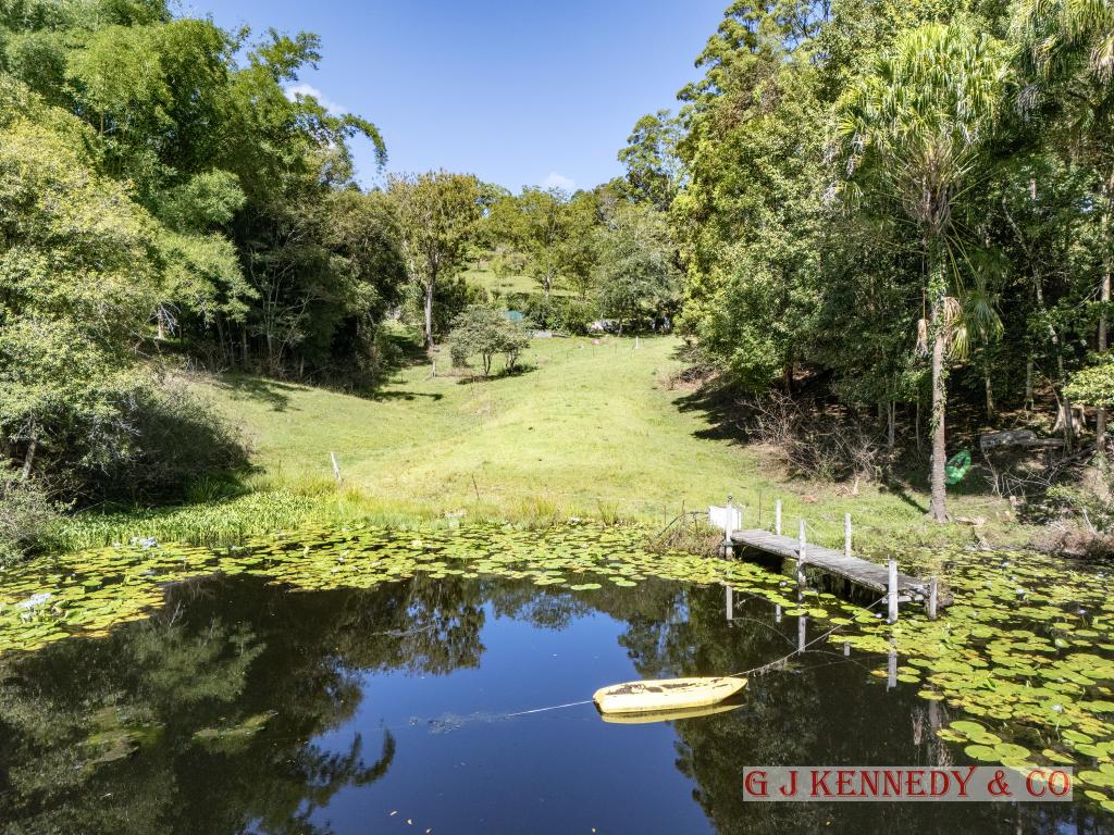 308 Lower Buckrabendinni Rd, Buckra Bendinni, NSW 2449