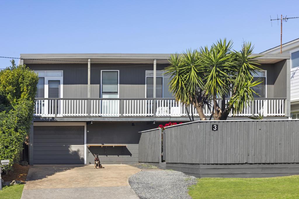 3 Government Rd, Beacon Hill, NSW 2100