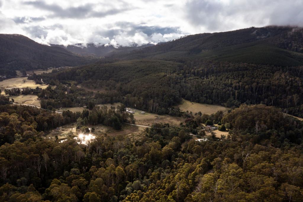 1494 Upper Esk Rd, Upper Esk, TAS 7214