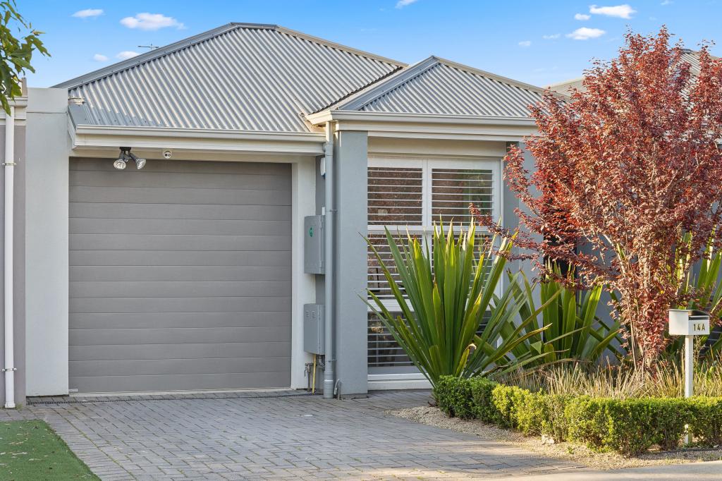 14a Byard Tce, Mitchell Park, SA 5043