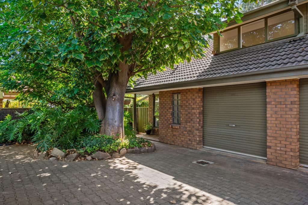 3/34 Maud St, Unley, SA 5061