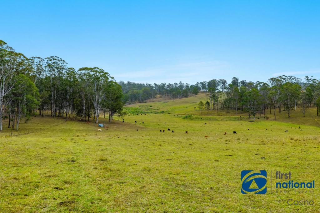 213 Dyraaba Rd, Piora, NSW 2470