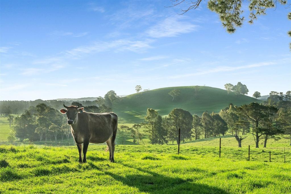 790 Kangaloon Rd, Glenquarry, NSW 2576