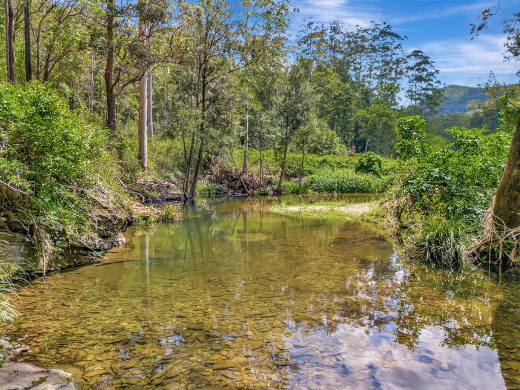 739 Upper Buckrabendinni Rd, Buckra Bendinni, NSW 2449