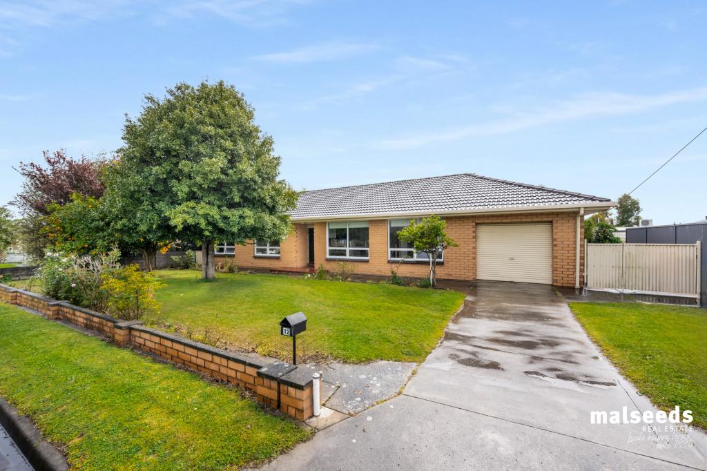 12 Webb St, Mount Gambier, SA 5290