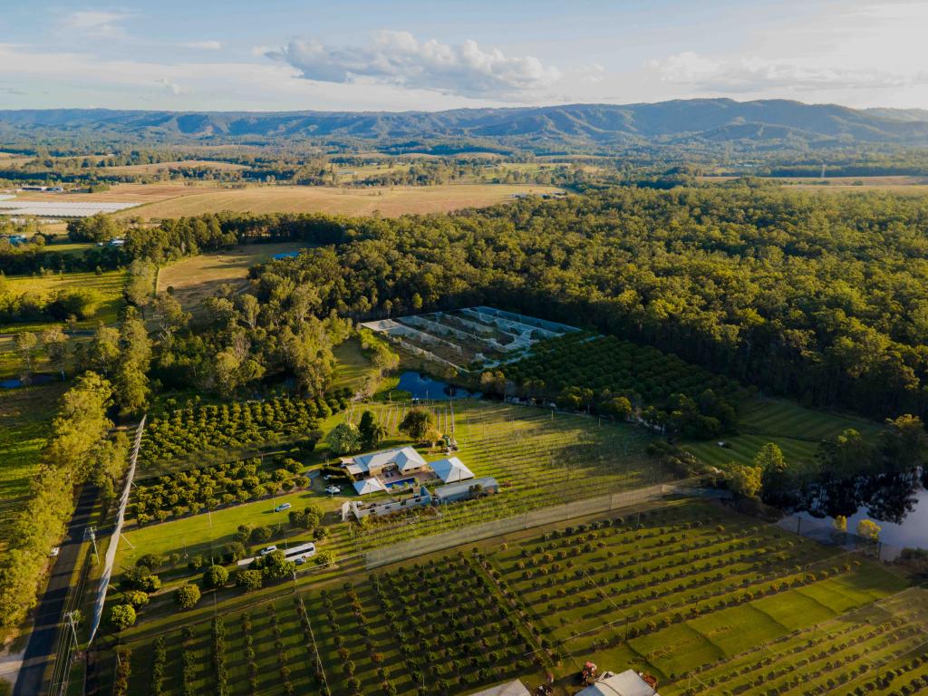 47-73 Mcclintock Rd, Wamuran, QLD 4512