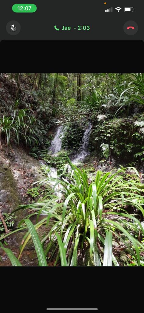 162 Repeater Station Rd, Springbrook, QLD 4213