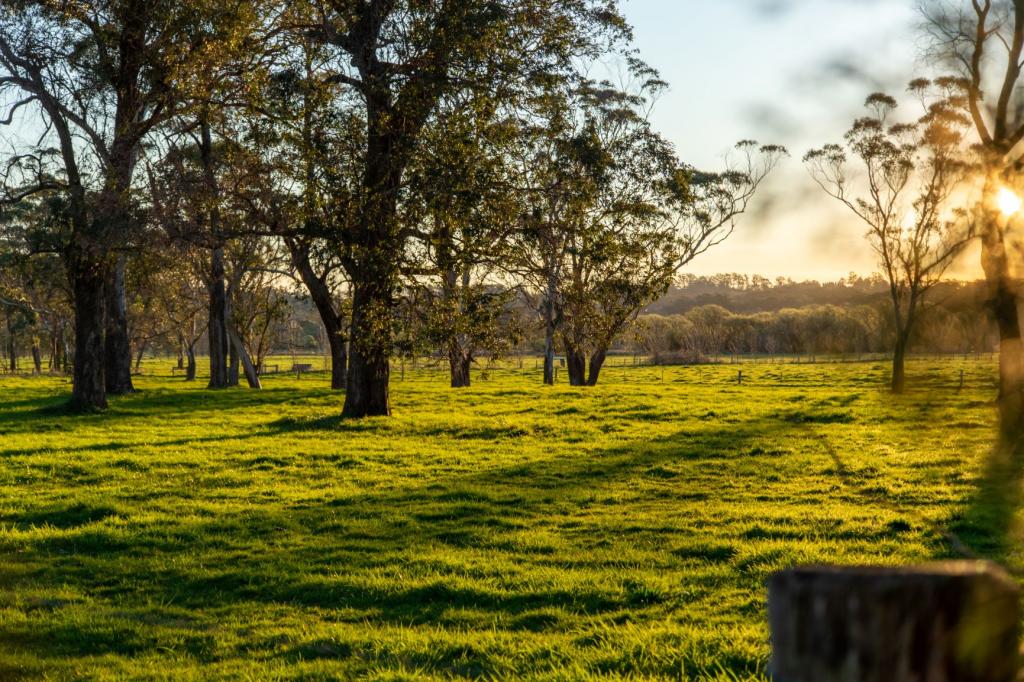 50 BLENCOWES LANE, WILDES MEADOW, NSW 2577