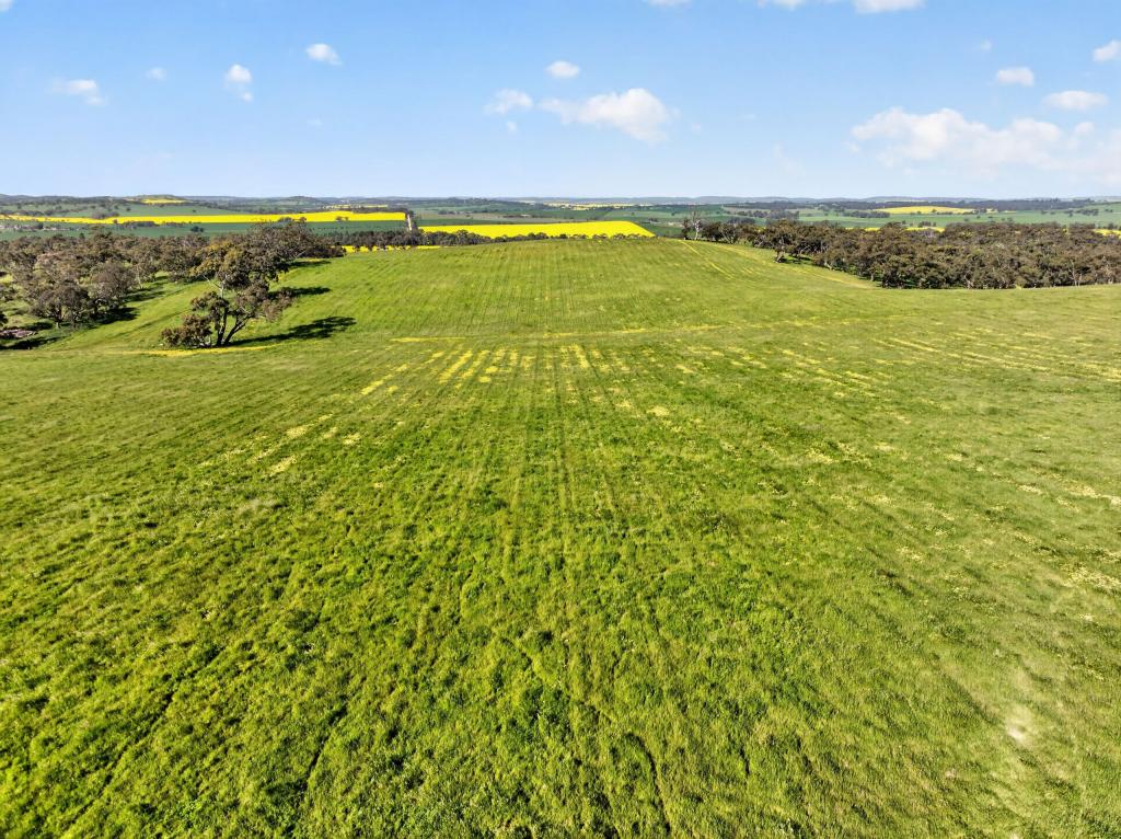 'Woolshed' Kelly Rd, Undalya, SA 5451