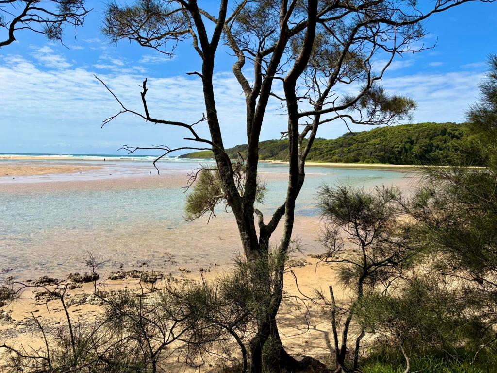 18A BASIL ST, MOONEE BEACH, NSW 2450