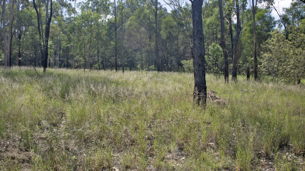 Lot 881 Burnett Hwy, Eidsvold, QLD 4627