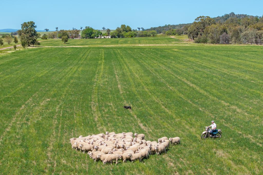 92 Campbells Lane, Canowindra, NSW 2804