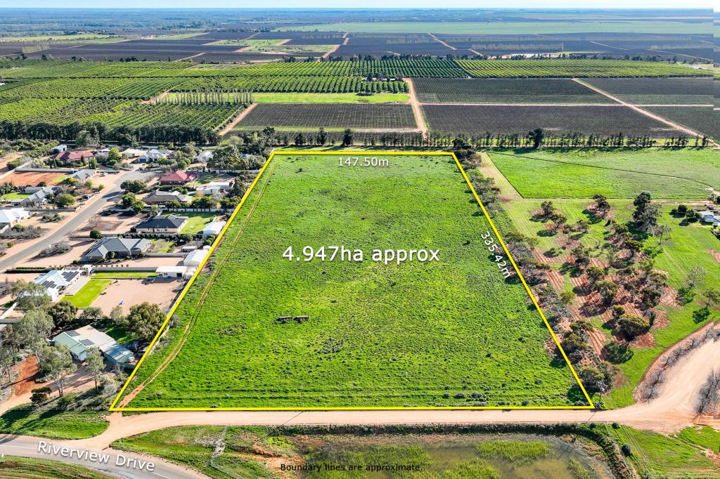 Lot 50 Riverview Dr, Paringa, SA 5340