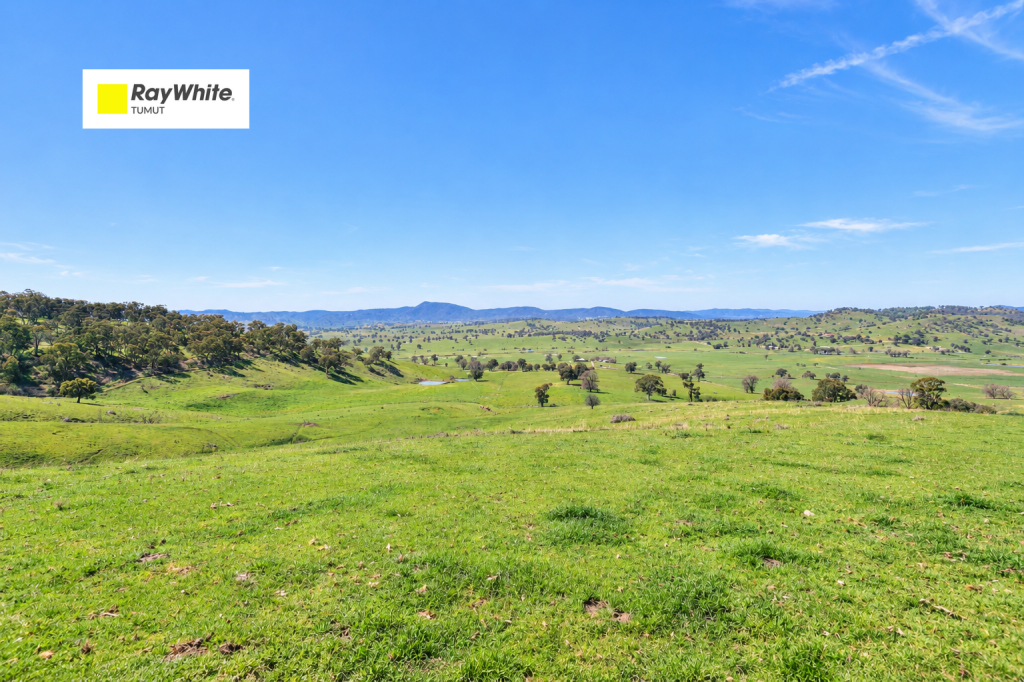 Part 1169 Grahamstown Rd, Adelong, NSW 2729
