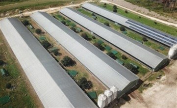 Contact Agent For Address, Mangrove Mountain, NSW 2250