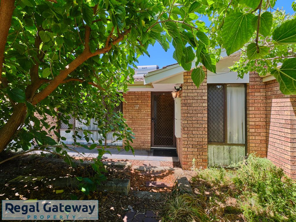 37 Petterson Ave, Kardinya, WA 6163