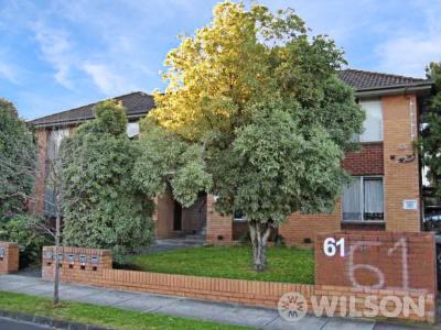 7/61 Holywood Gr, Carnegie, VIC 3163