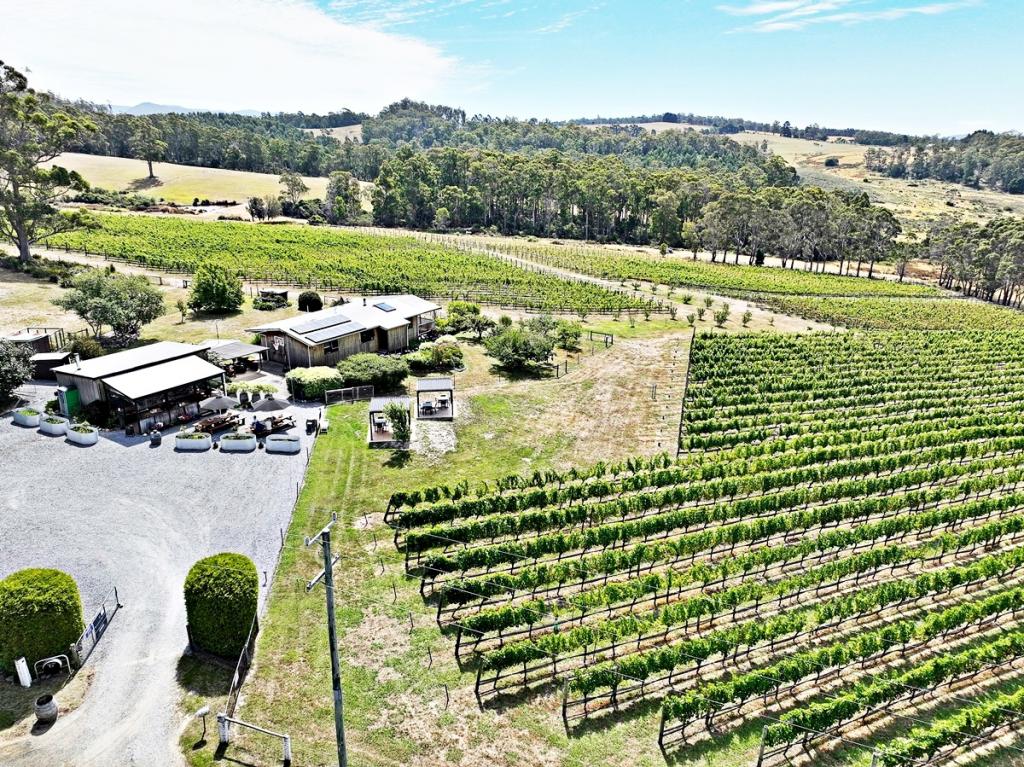 150 HJORTS RD, LOIRA, TAS 7275