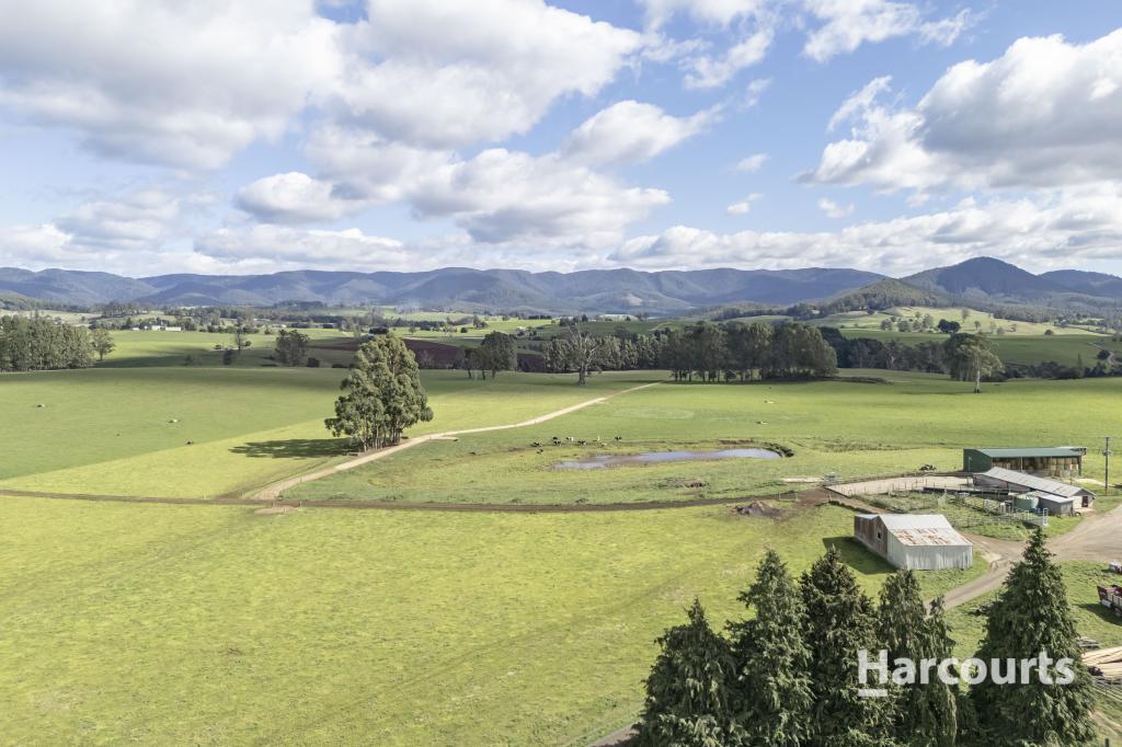 214 Mathinna Plains Rd, Ringarooma, TAS 7263
