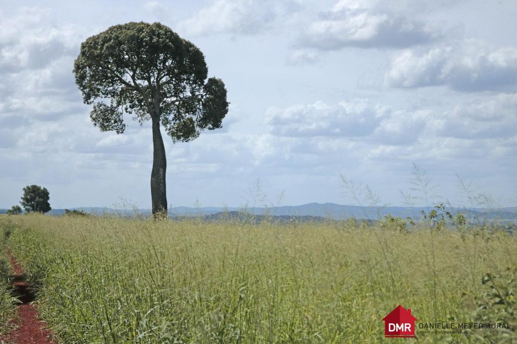 Contact agent for address, BINJOUR, QLD 4625