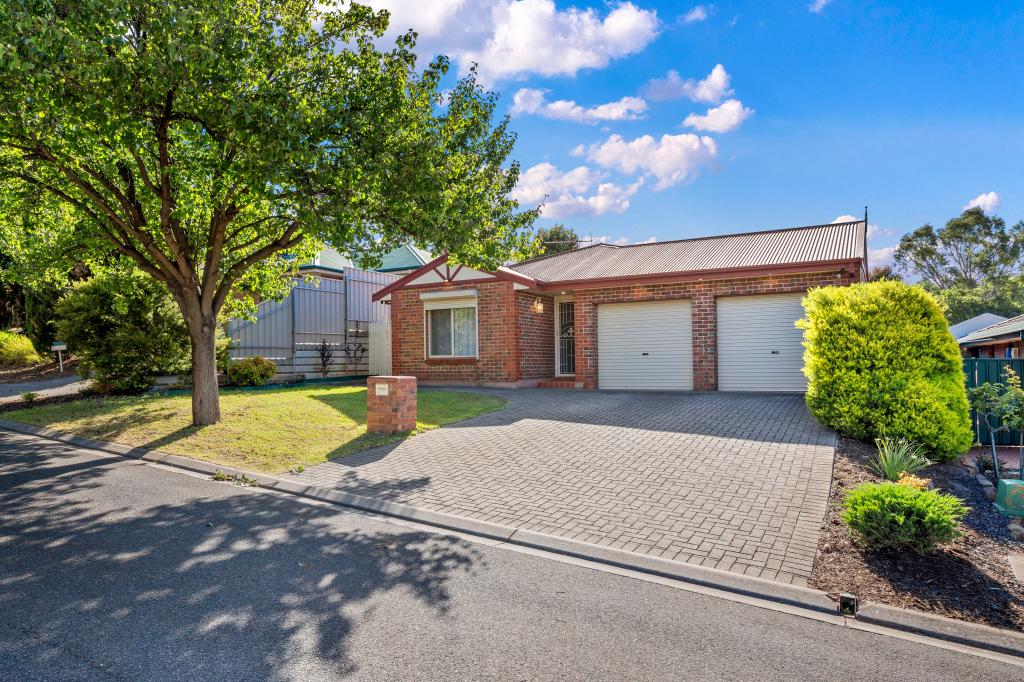 19 Lake Miranda Ct, Greenwith, SA 5125