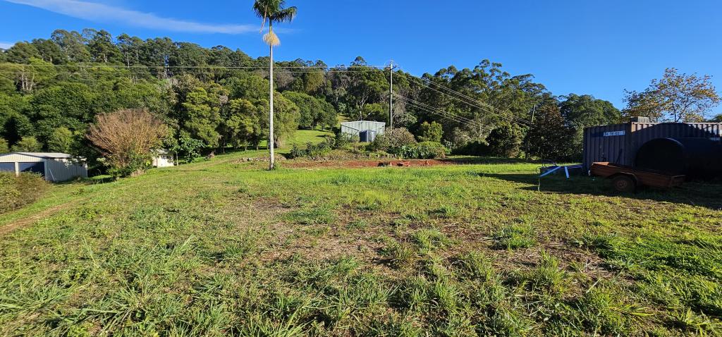 1005 Tuntable Creek Rd, Tuntable Creek, NSW 2480