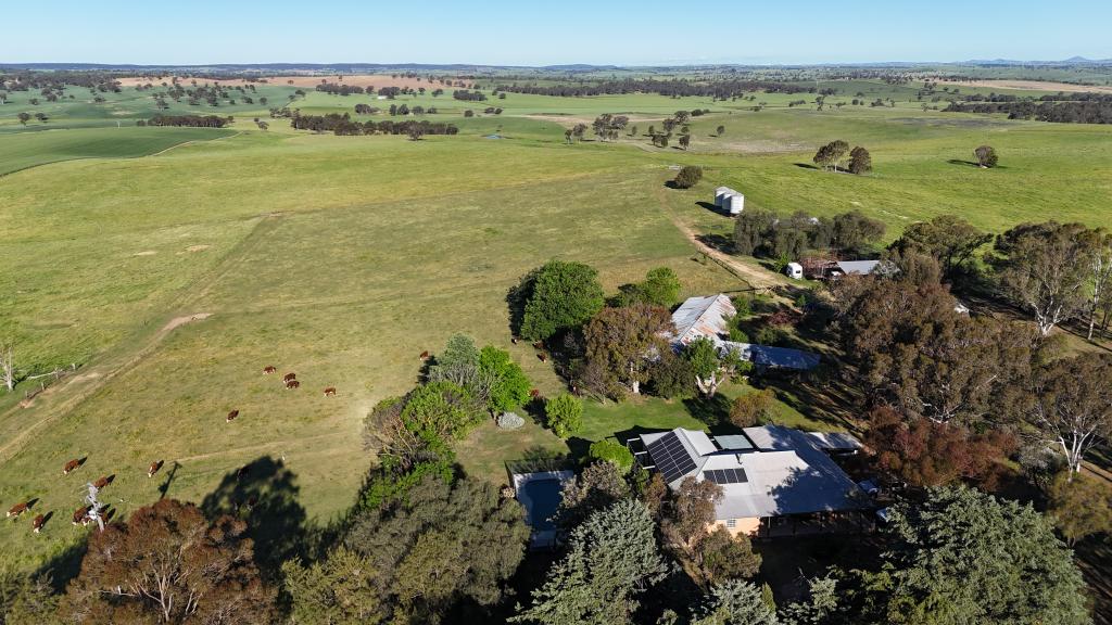 510 Kingsvale Rd, Young, NSW 2594