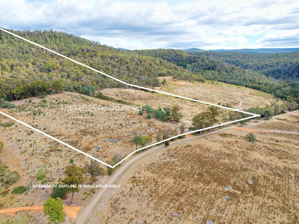 Lot 12/524 Rosedale Rd, Bicheno, TAS 7215