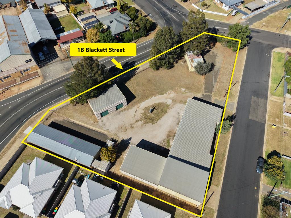 1b Blackett St, Forbes, NSW 2871