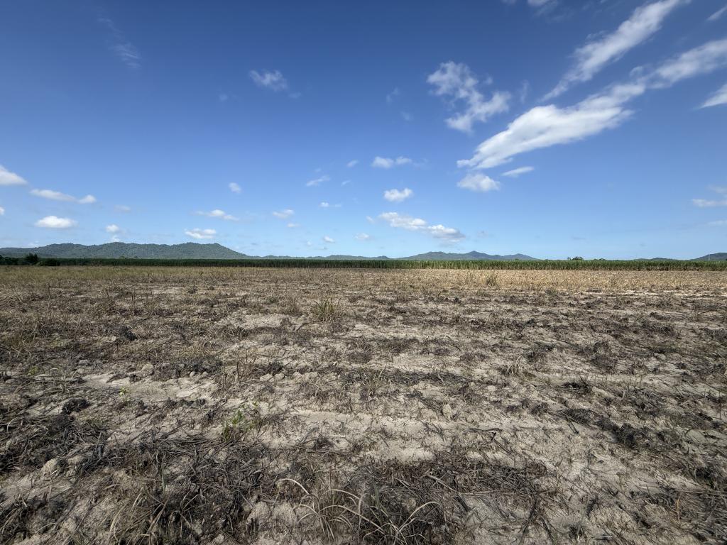 Contact Agent For Address, Midgenoo, QLD 4854