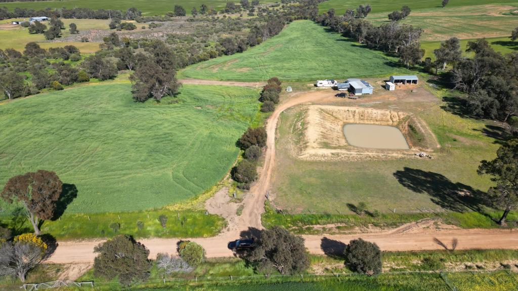 Contact Agent For Address, Kojonup, WA 6395