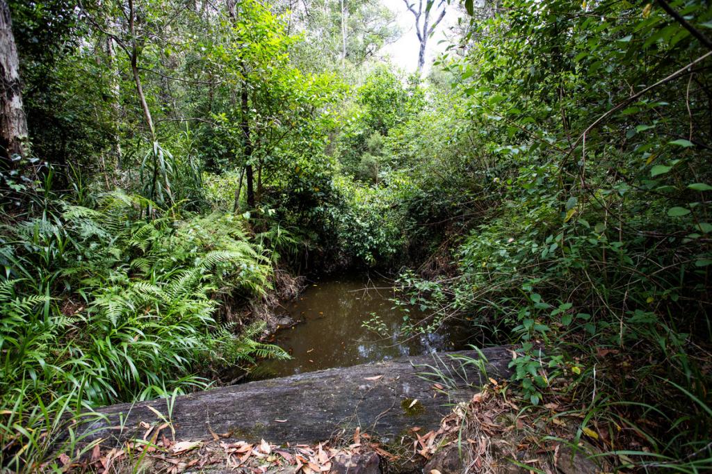 506 Tullymorgan-Jacky Bulbin Rd, Mororo, NSW 2469