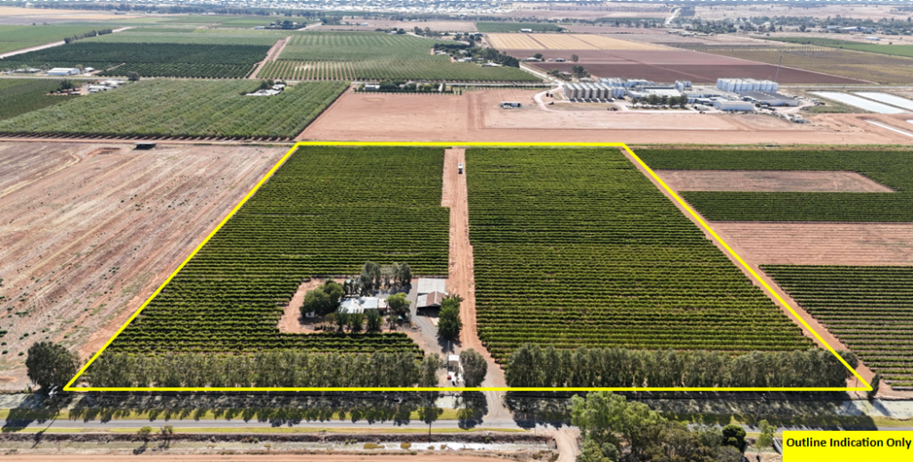 171 Moseley Rd, Bilbul, NSW 2680