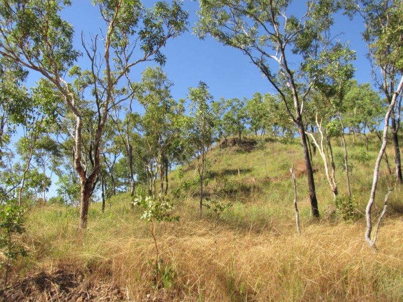Contact Agent For Address, Adelaide River, NT 0846