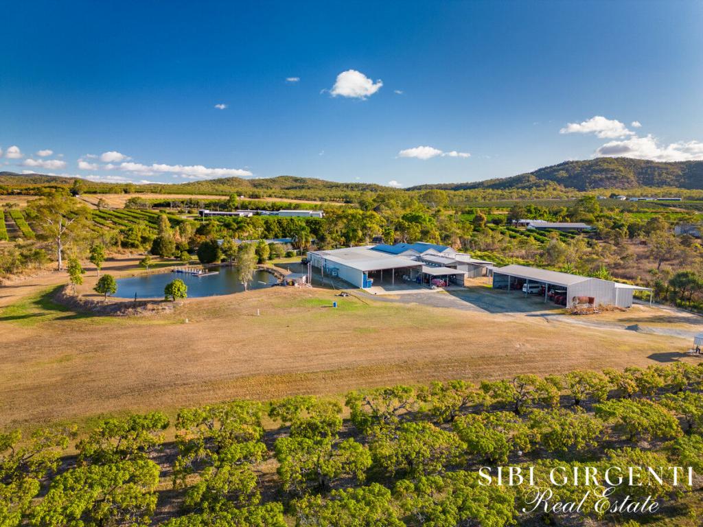 111 Mcleod Rd, Mutchilba, QLD 4872