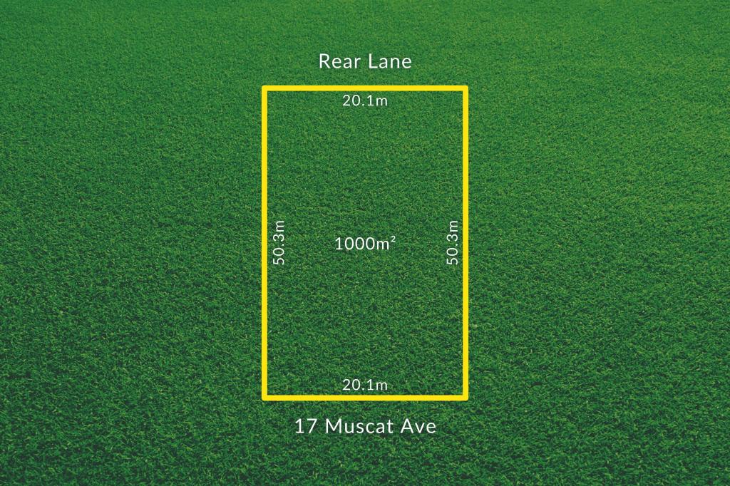 17 Muscat Ave, Berri, SA 5343