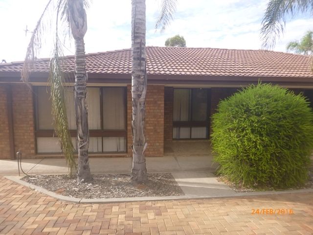 3/13 Pascoe Tce, Barmera, SA 5345