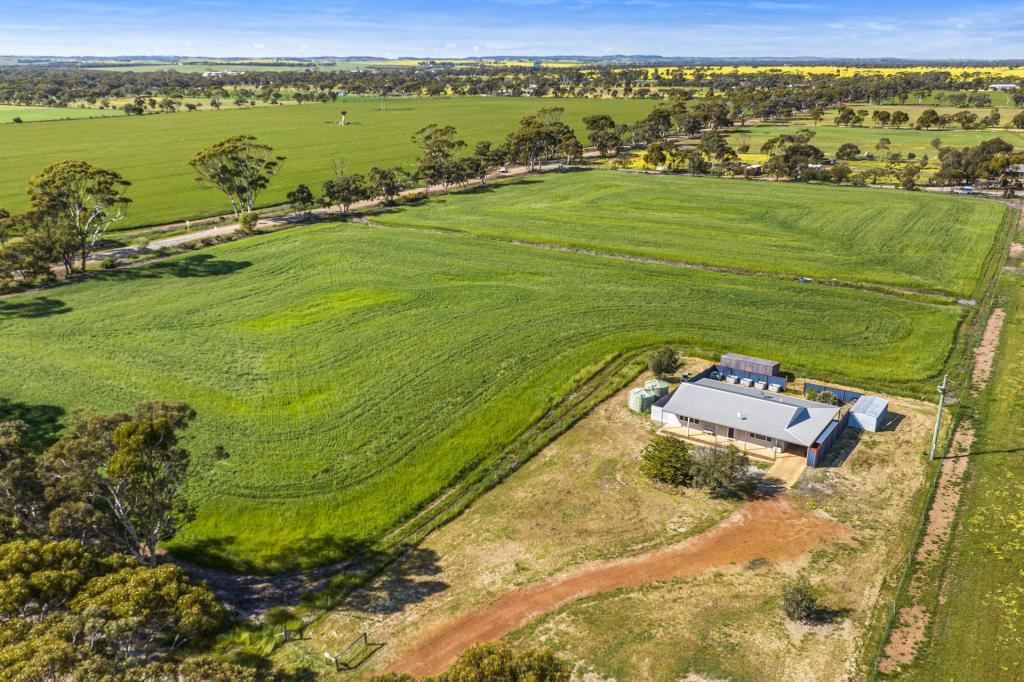 91 COOPER ST, MOORA, WA 6510
