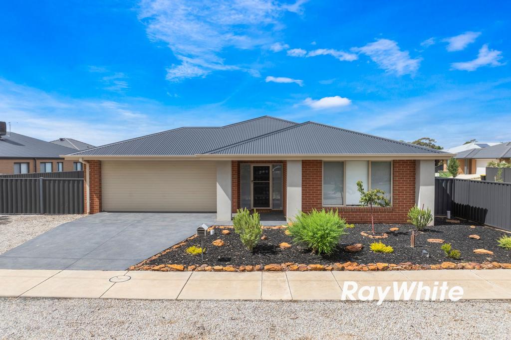 148 Hervey St, Elmore, VIC 3558