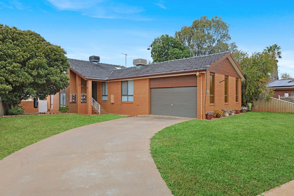 3 Nulty Dr, Robinvale, VIC 3549