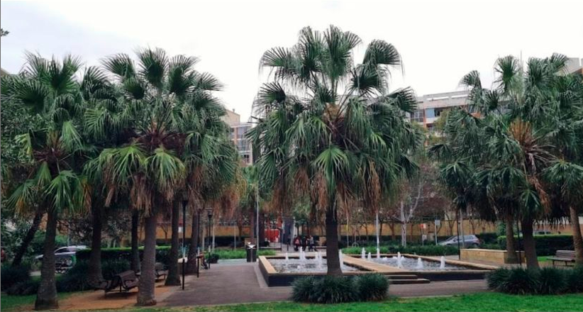 611/6 LACHLAN ST, WATERLOO, NSW 2017