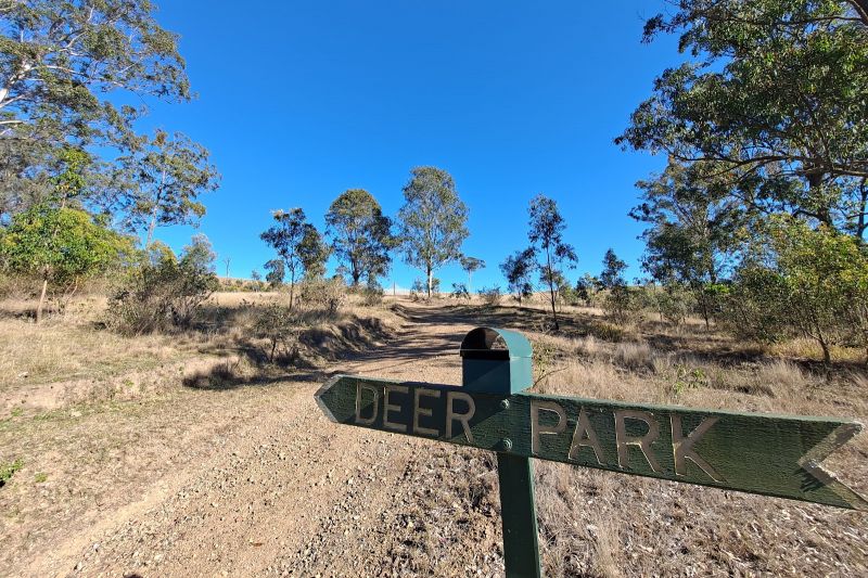431 Waterhole Gully Rd, Anduramba, QLD 4355