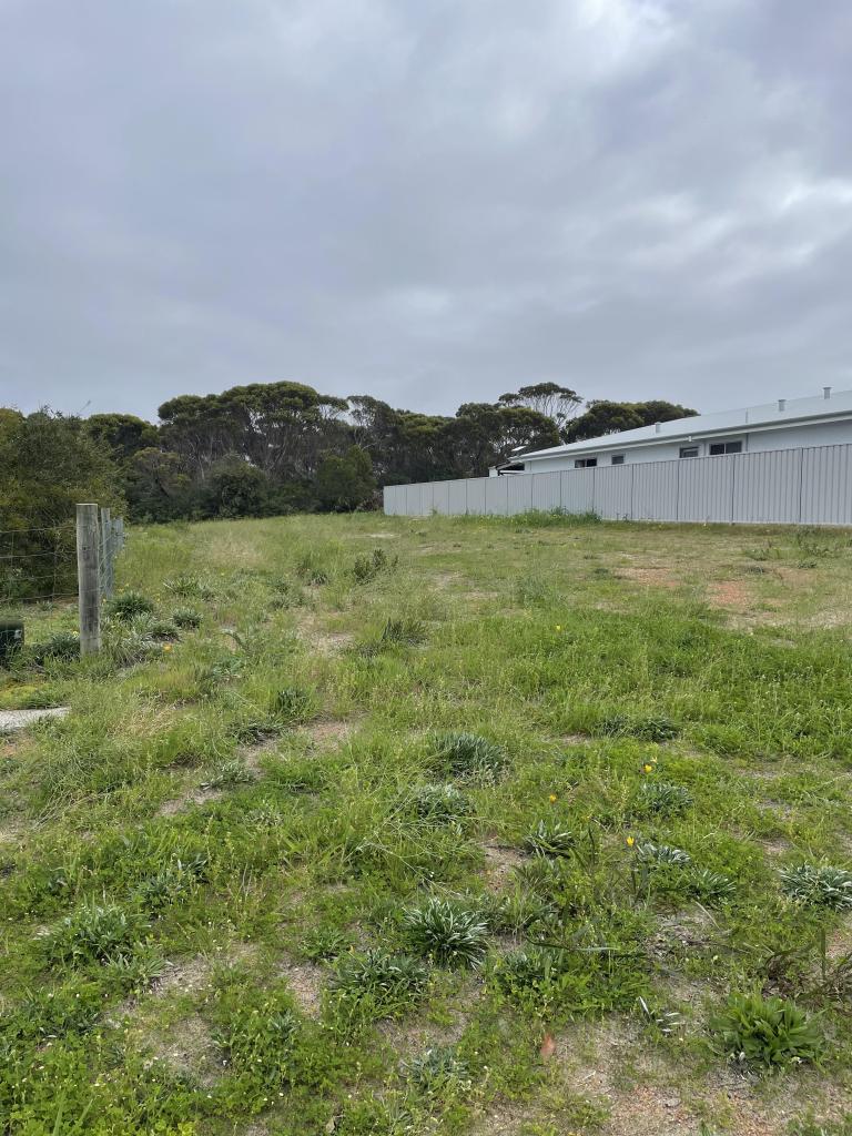 35 Princess St, Pink Lake, WA 6450