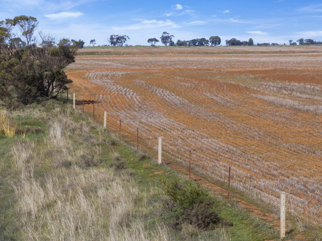 Lot 25 Brownlow Rd, Neales Flat, SA 5374
