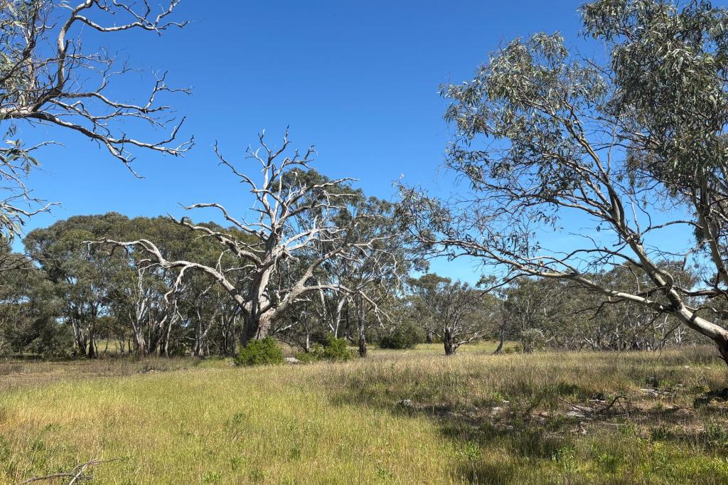 Lot 9 Flinders Hwy, Wangary, SA 5607