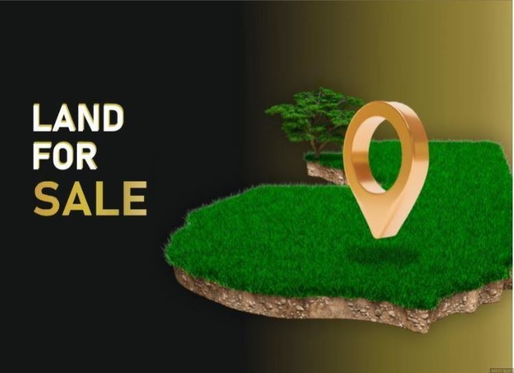 Lot 460. 44/52 Park Estate Rd, Leppington, NSW 2179