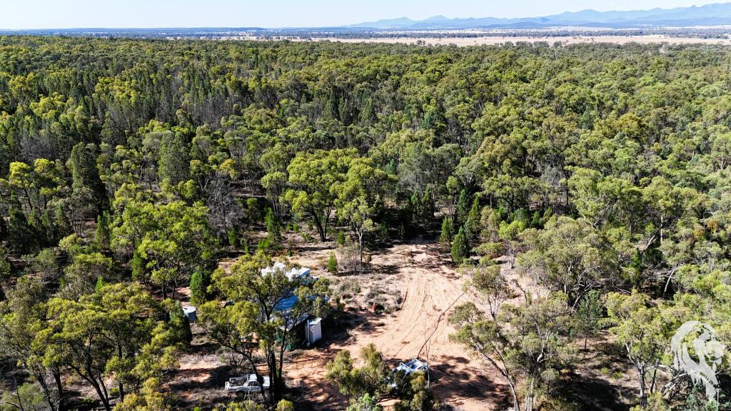 203 OAKDALE LANE, TURRAWAN, NSW 2390