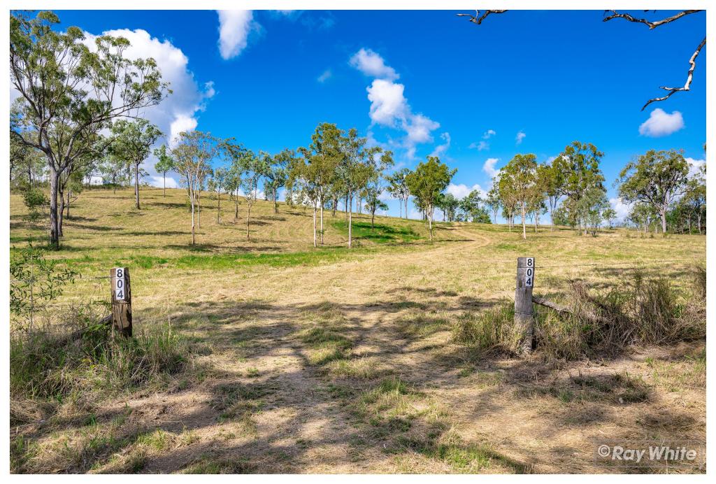 804 BELMONT RD, GLENLEE, QLD 4711